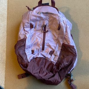 Eddie Bauer Stowaway Hiking Backpack 20 L